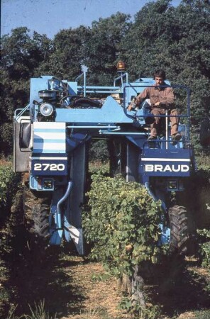 Fotografie: Erntetechnik, Erntemaschine, Weinbau
