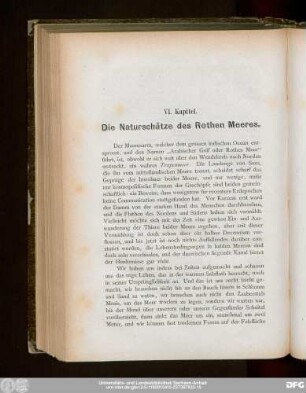 VI. Kapitel. Die Naturschätze des Rothen Meeres.