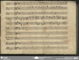 Introduzione: "Evviva farfallone che in notte sì felice"