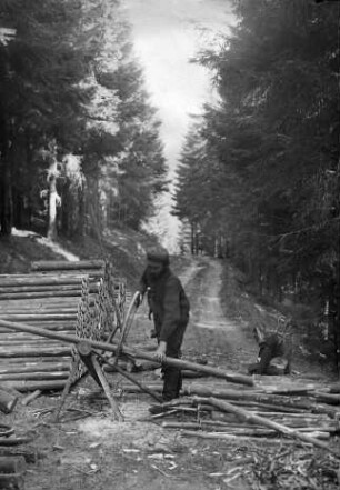 Holzaufbereitung