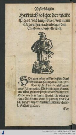 Hernach folget der ware Proceß…