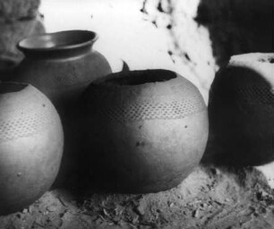 Topf (tukunya)