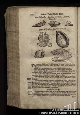 Cap. 37. Erd-Schnecken, Cochleae terrestres, Conchae.