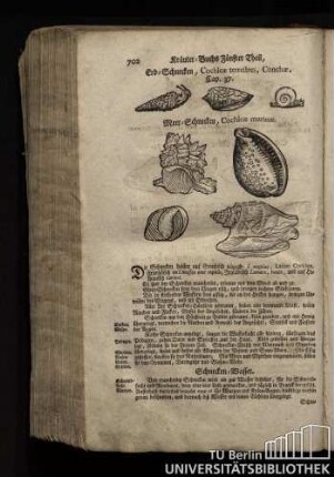Cap. 37. Erd-Schnecken, Cochleae terrestres, Conchae.