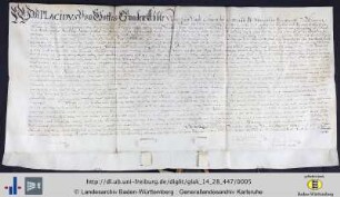 Nur Text, recto