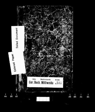 Gerichtshandelsbuch für Schönborn, Wolfsberg und Dreiwerden