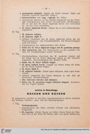 Nacken und Rücken
