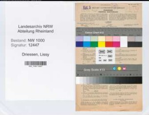 Entnazifizierung Lissy Driessen, geb. 02.01.1902 (Angest.)