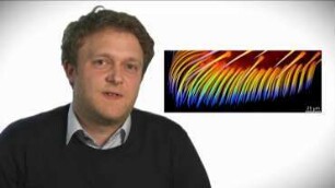 Functional gradients in fibrillar adhesives