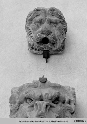 Wasserspeier eines Brunnens in Löwenform