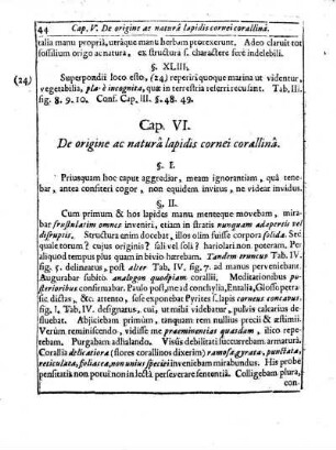 Cap. VI. De origine ac natura lapidis cornei corallina