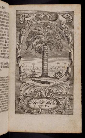 179-186, 30. Capitel