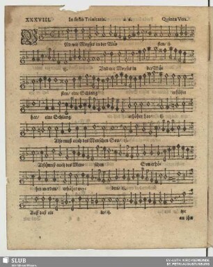 XXXVIII. Und wie Moses in der Wüsten