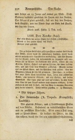 LXIII. Der Roche