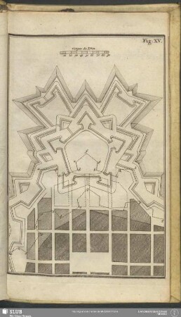 Fig: XV