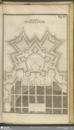 Fig: XV