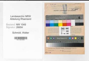 Entnazifizierung Walter Schmidt , geb. 30.05.1902 (Kaufmaennischer Angestellter)