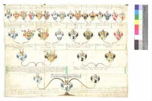 Adelmann von Adelmannsfelden (Ahnenprobe)