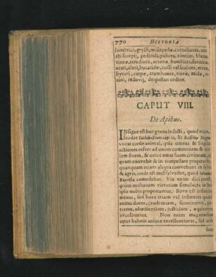 Caput VIII. De Apibus.