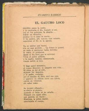 El gaucho loco