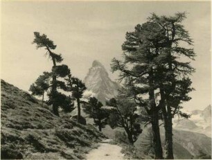 Das Matterhorn