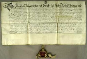 Röllfeld, 1689.06.02. Geburtsbrief für den Schuhmacher Valentin Becker von Röllfeld (Ufr., BA. Obernburg). Aussteller: Amtmann zu Klingenberg