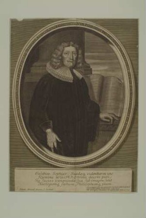 Daniel Wülfer