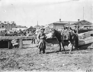 Mann und Pferd : Mann mit Pferd in Barnaul