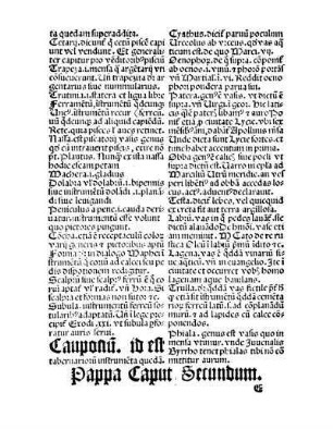 Pappa Caput Secundum