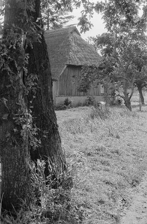 Darßer Landschaft