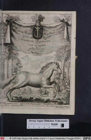 Joannis Willhelmi A Stubenberg, Norma Seu Regula Armentorum Equinorum, Recte ac perfecte Instituendorum : Ex Optimis tum antiquis tum recentioribus Auctoribus petita ac dedicata Illustrissimis Inclyti Regni Hungariae Proceribus Ac Statibus, Anno Salutis M.DC.LXII.