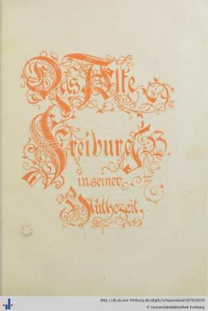 Das alte Freiburg in seiner Blüthezeit.