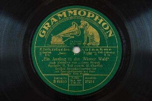 "Ein Ausflug in den Wiener Wald" : Fantasie; II. Teil / nach Melodien von Johann Strauß, (bearb. M. Charlie)
