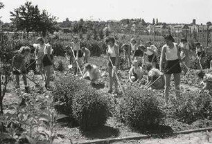 Dresden-Südvorstadt, Teplitzer Straße. Lehrerinnenbildungsanstalt. Schülerinnen bei der Gartenarbeit