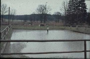Fotografie: Pferdehaltung, Reitplatz
