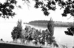 Mainau, Insel Mainau: Blick von der Insel nach Allmannsdorf
