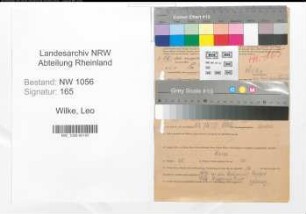 Entnazifizierung Leo Wilke , geb. 02.08.1893 (Angestellter)