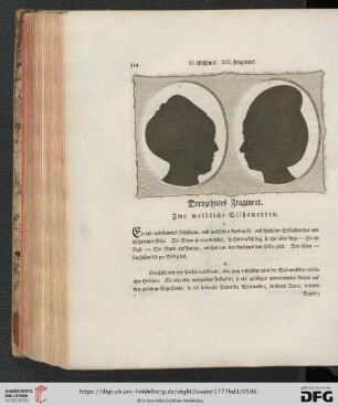 Dreyzehntes Fragment