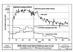 Milk yield and feed intake of cow no. 62