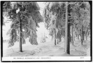 Bei Zinnwald. Georgenfeld