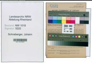 Entnazifizierung Johann Schneberger , geb. 03.03.1899 (Vertreter)