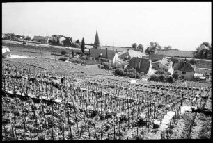 Grandvaux: Dorf und Weinberge am See