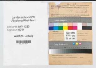 Entnazifizierung Ludwig Walther , geb. 21.12.1907 (Angest.)