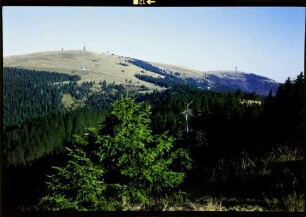 Stübenwasen: Feldbergblick, Vordergrund Schlucht und Tanne