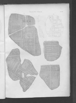 Fragmenta Vicorum.