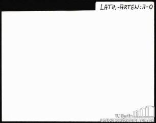 LATHYRUS: Arten A-O