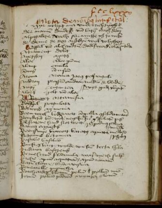 Glossar von Pflanzennamen (dt.-lat.)/Register des Promptuarium medicine (?; Auszug)