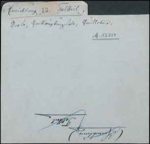 Hinrichtung, Fallbeil, Diele, Enthauptungsdiele, Guillotine