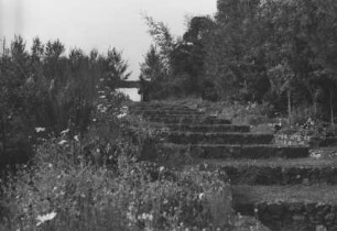 Steintreppe im Garten : Steintreppe im Garten der Familie Küstermann bei Mufindi