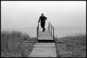 Mann auf einem Holzsteg mit Schwalbe : Zingst. Mann auf einem Holzsteg